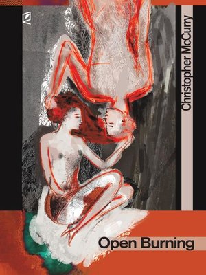 cover image of Open Burning